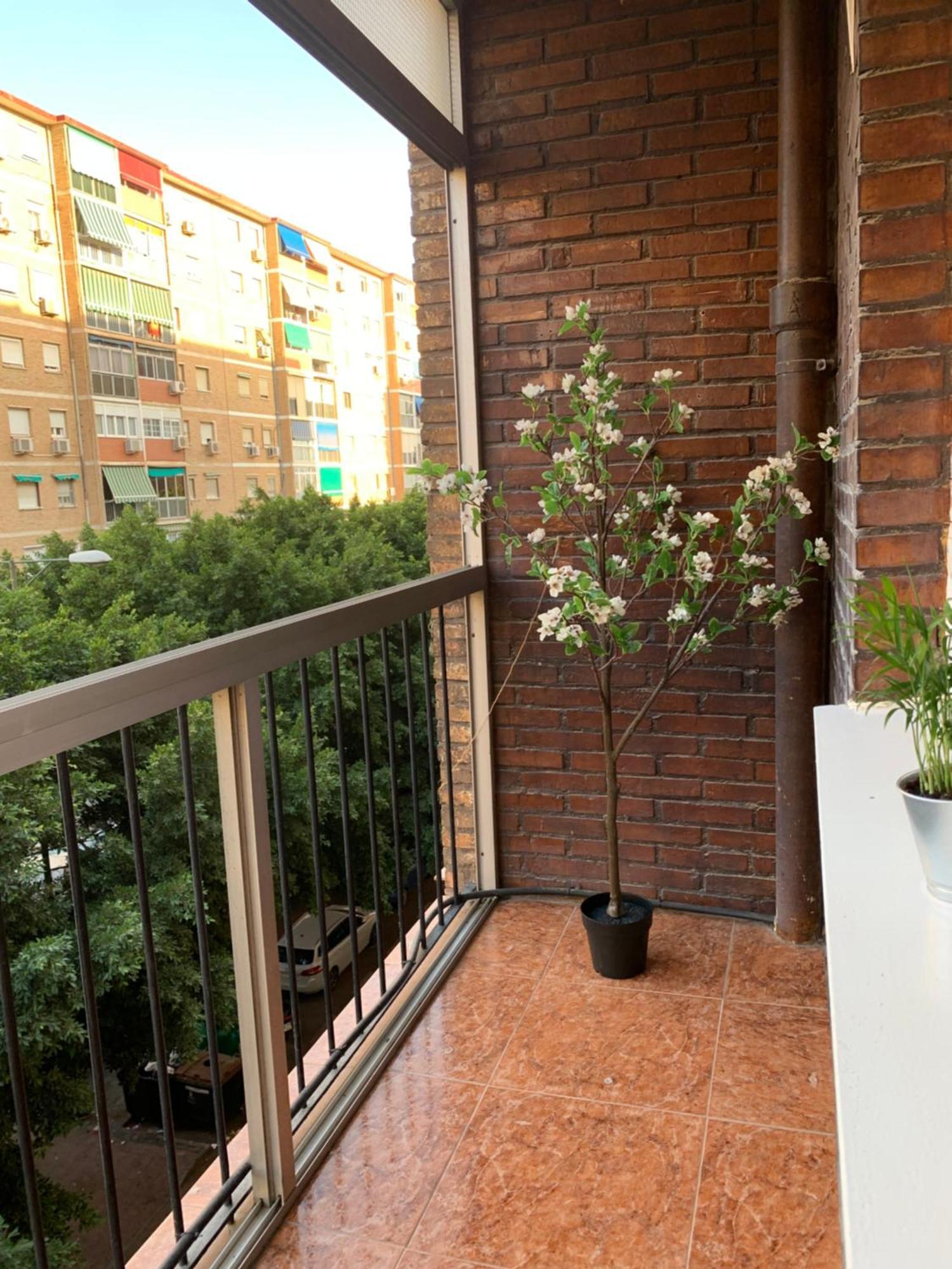 Bueno, Bonito Y Barato Lejlighed Málaga Eksteriør billede